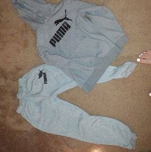 Puma bundle